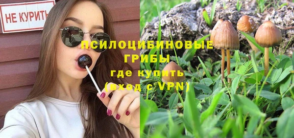 mdpv Белокуриха