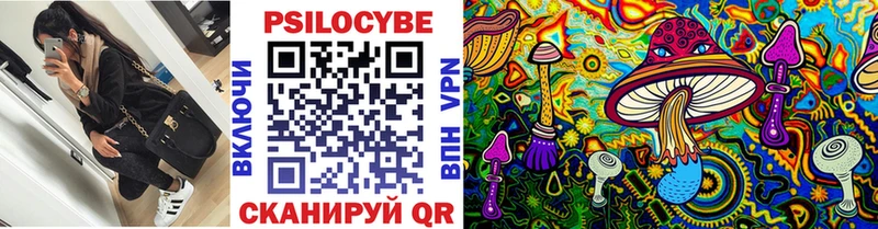 kraken онион  Кунгур  Псилоцибиновые грибы GOLDEN TEACHER 